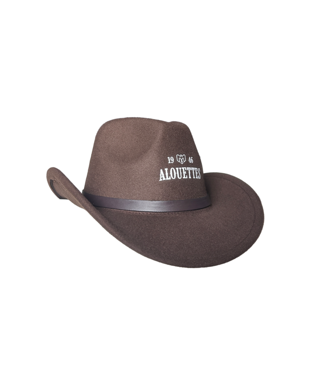 BROWN COWBOY HAT