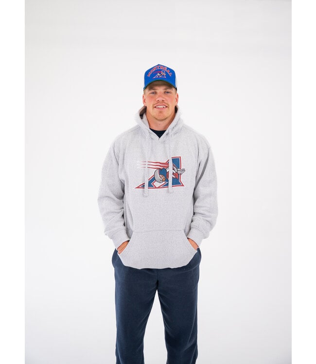 HOODIE GRIS ERIC LOGO 2000 - TT2025