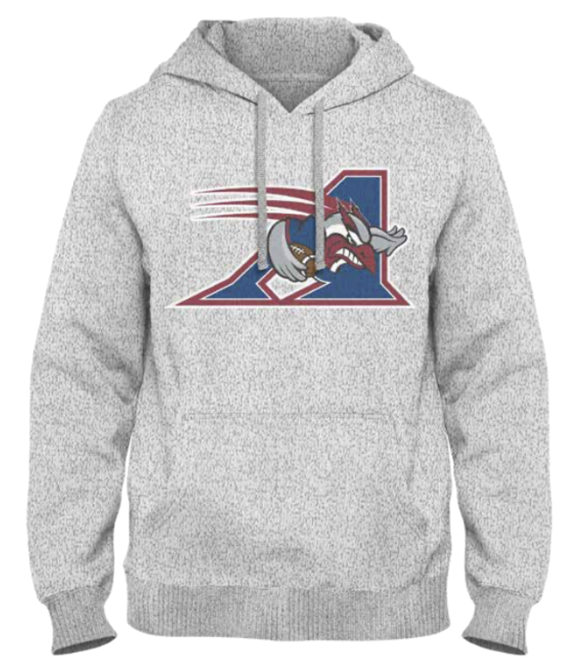 HOODIE GRIS ERIC LOGO 2000