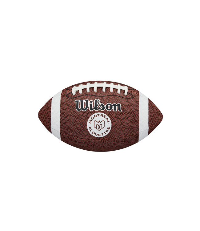 YOUTH ALOUETTES FOOTBALL 2025