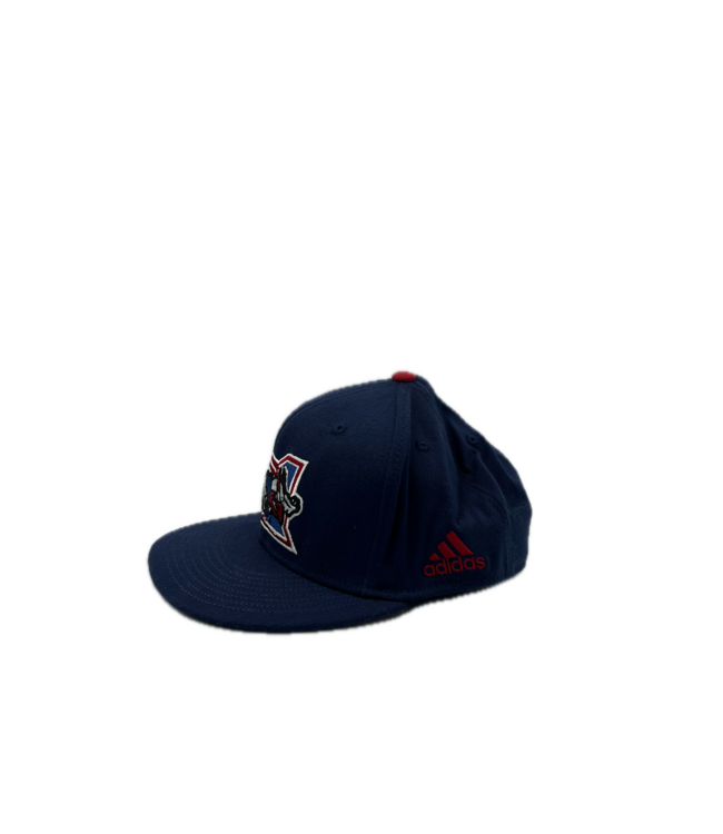 2017 DRAFT HAT