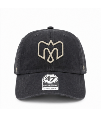 Brand 47 CASQUETTE CLEAN UP GRISE CHARKI BALLPARK