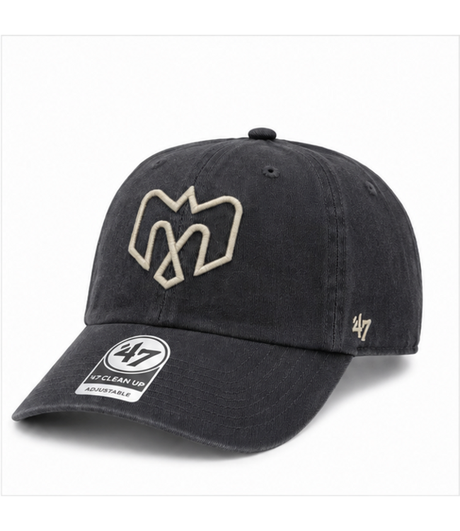 CASQUETTE CLEAN UP GRISE CHARKI BALLPARK