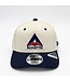 950AF REAR HIT 2-TONE DELTA LOGO HAT