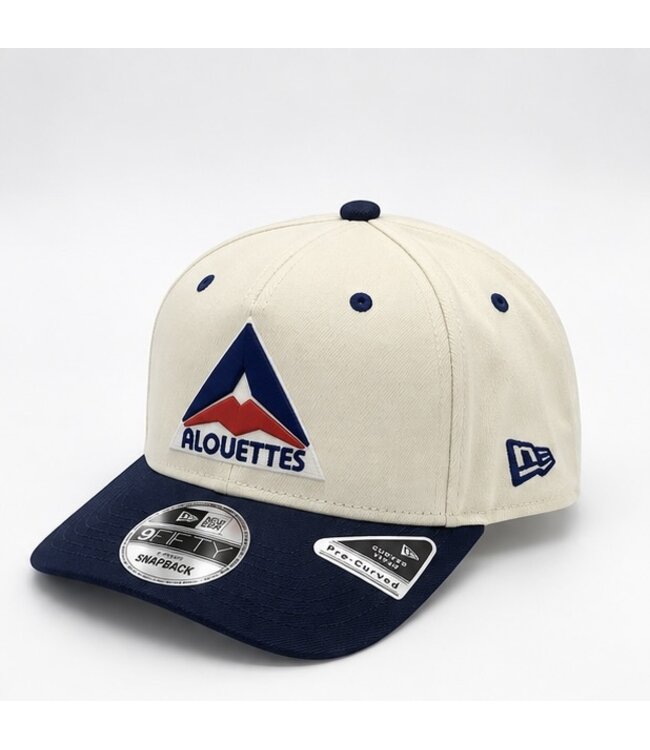 950AF REAR HIT 2-TONE DELTA LOGO HAT