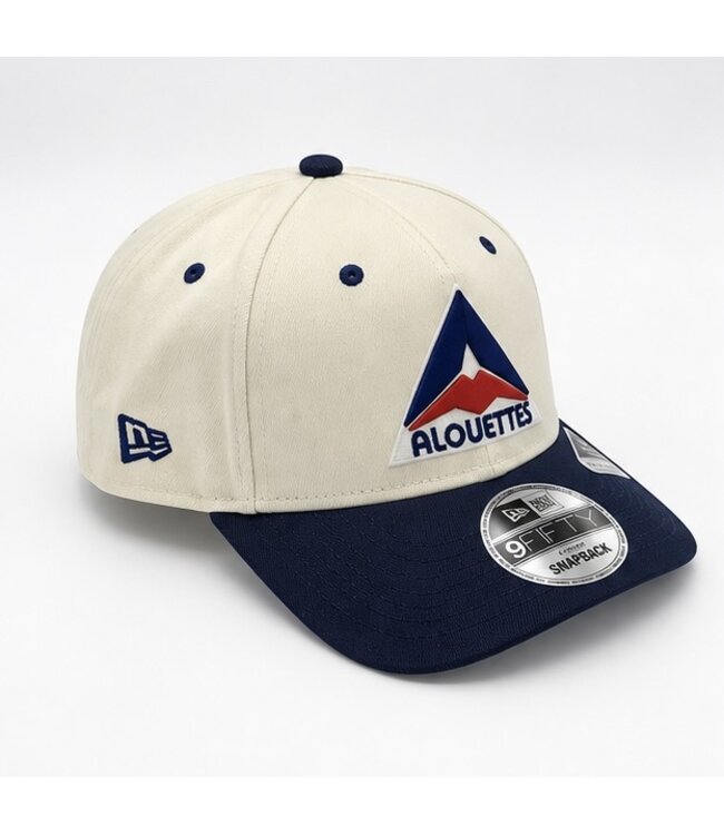 950AF REAR HIT 2-TONE DELTA LOGO HAT
