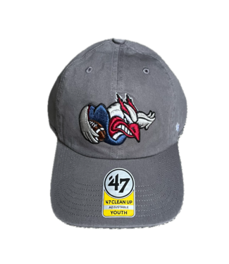 Brand 47 YOUTH CLEAN UP GREY 2000 LOGO HAT