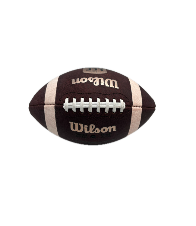 BALLON DE MATCH OFFICIEL ALOUETTES 2024