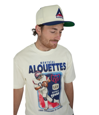 Brand 47 PLAYBRUSH OVERSIZE HEAVYWEIGHT SHIRT