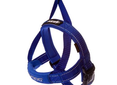 Harnesses