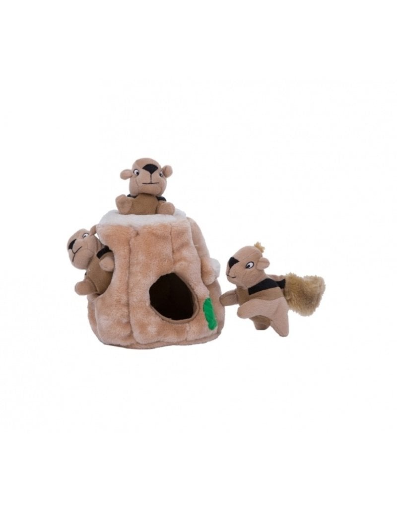 Outward Hound Hide A Squirrel Puzzle Dog Toy - - RedBarn Feed & Supply