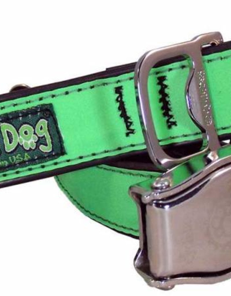 metal clasp dog collars