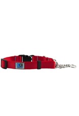 RC Pet Products RC Pet Products Quick Release Martingale Collar