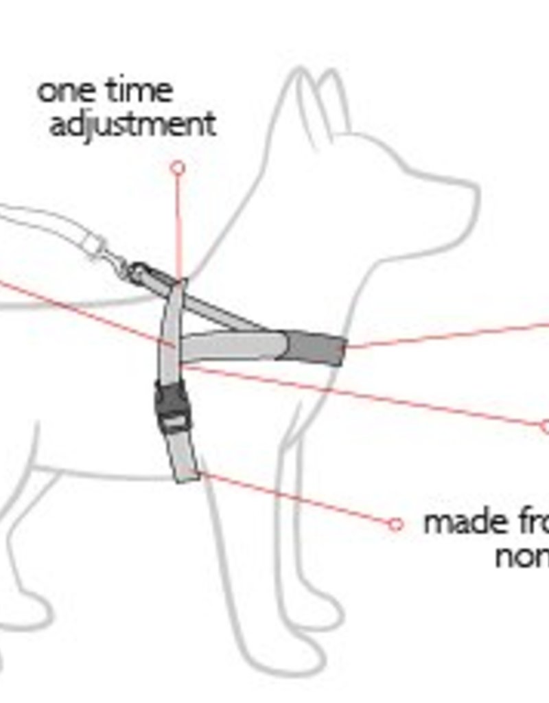 EZY Dog Ezy Dog QuickFit Harness