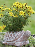 SERRV Turtle Planter