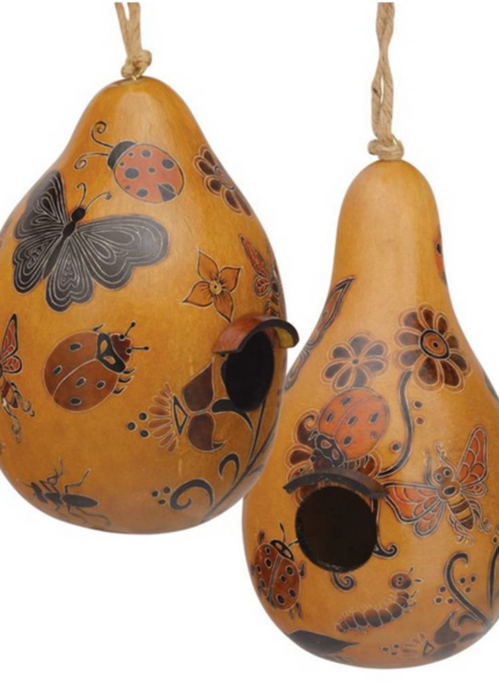 Lucuma Whimsy Bug Gourd