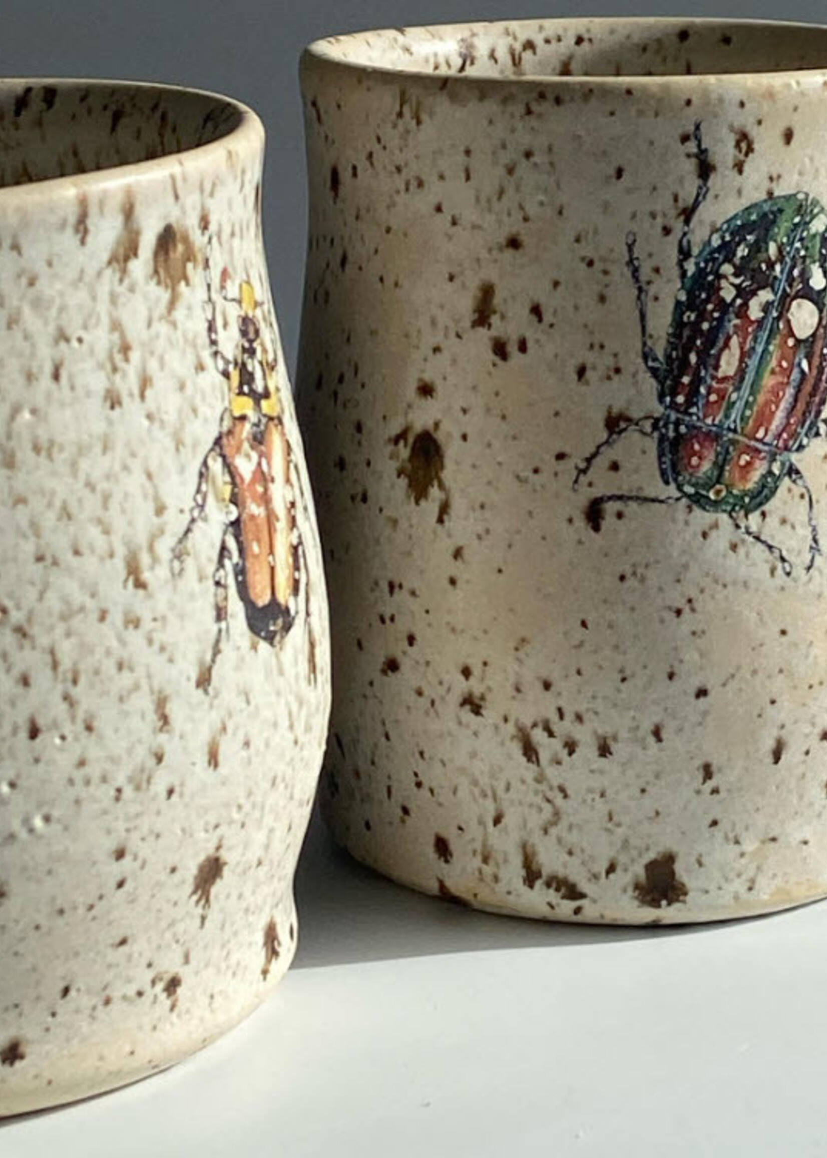 Pickled Pottery Bug Mug