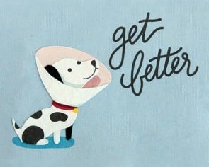 Good Paper Get Better Dog