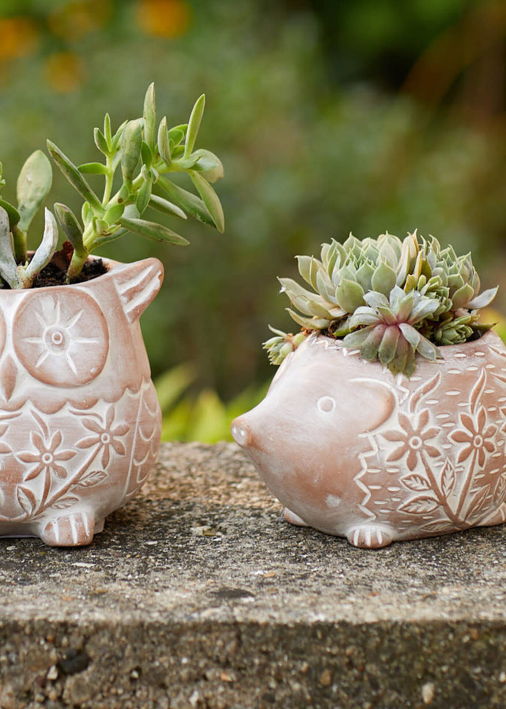 SERRV Hedgehog Terracotta Planter