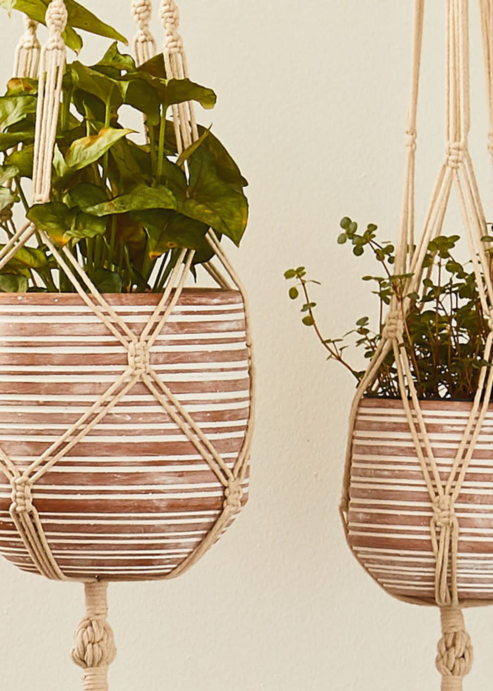 SERRV Bandhu Clay Planter