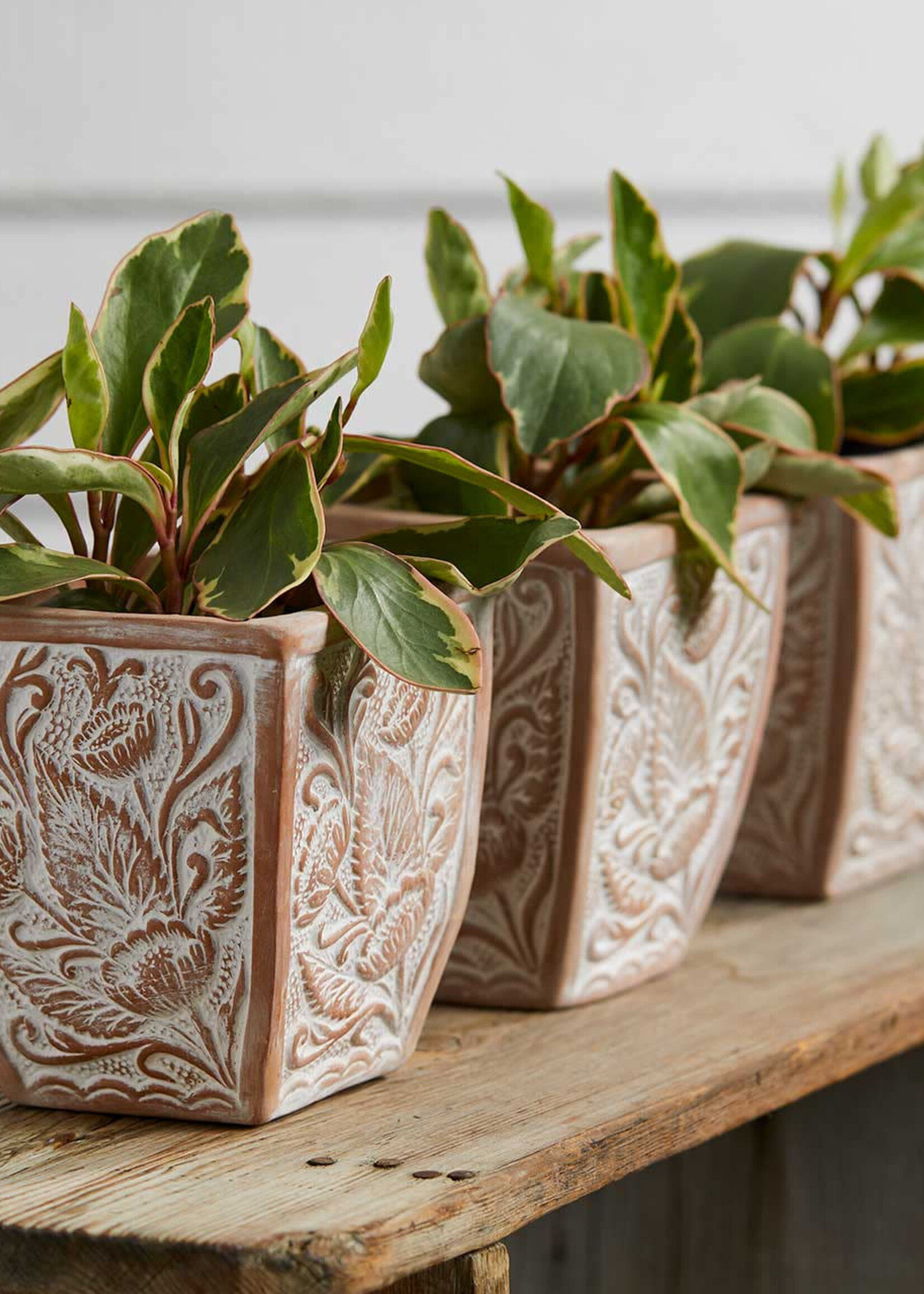 SERRV Solstice Blooms Terracotta Planters