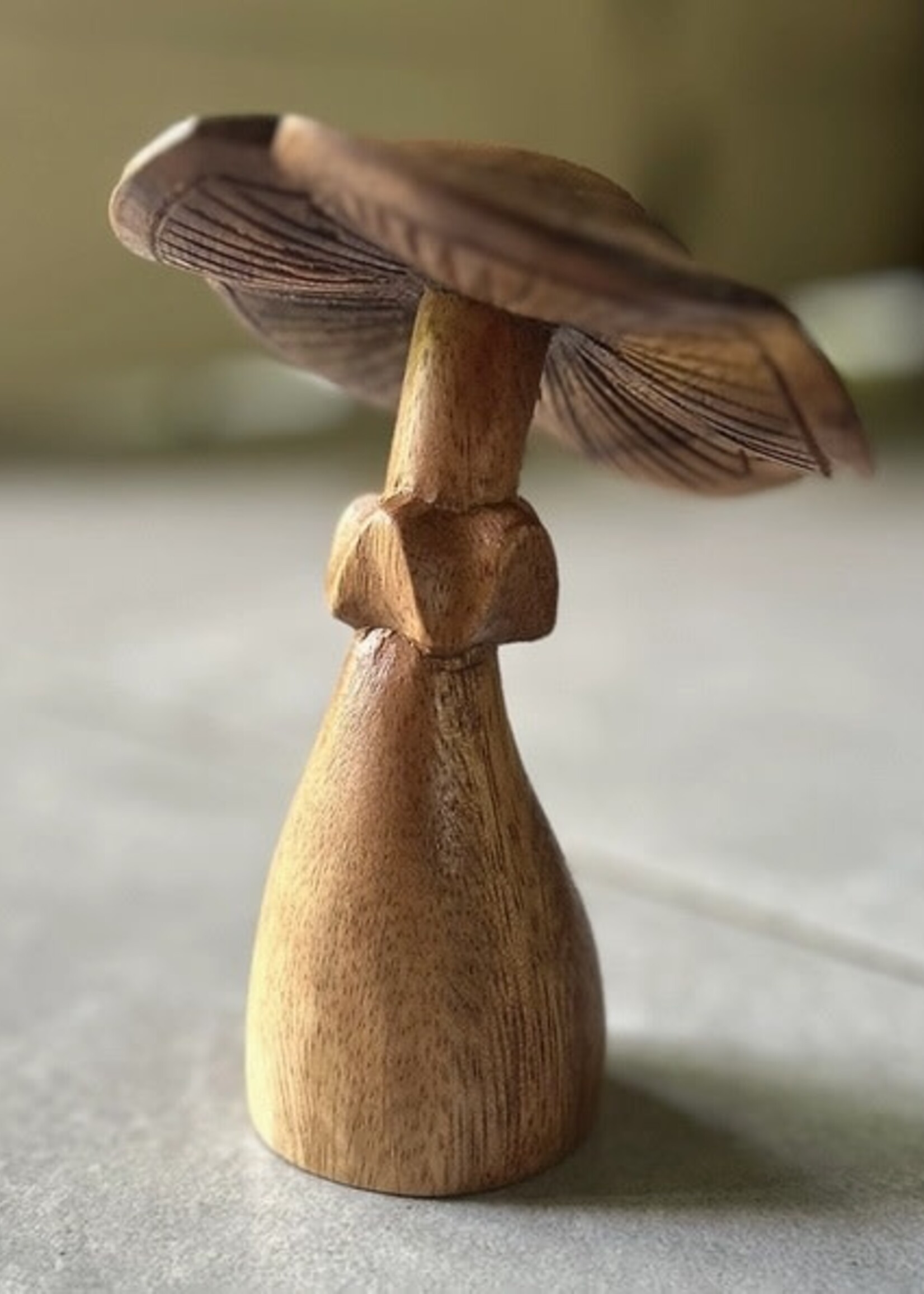 Wood Mushroom Medium