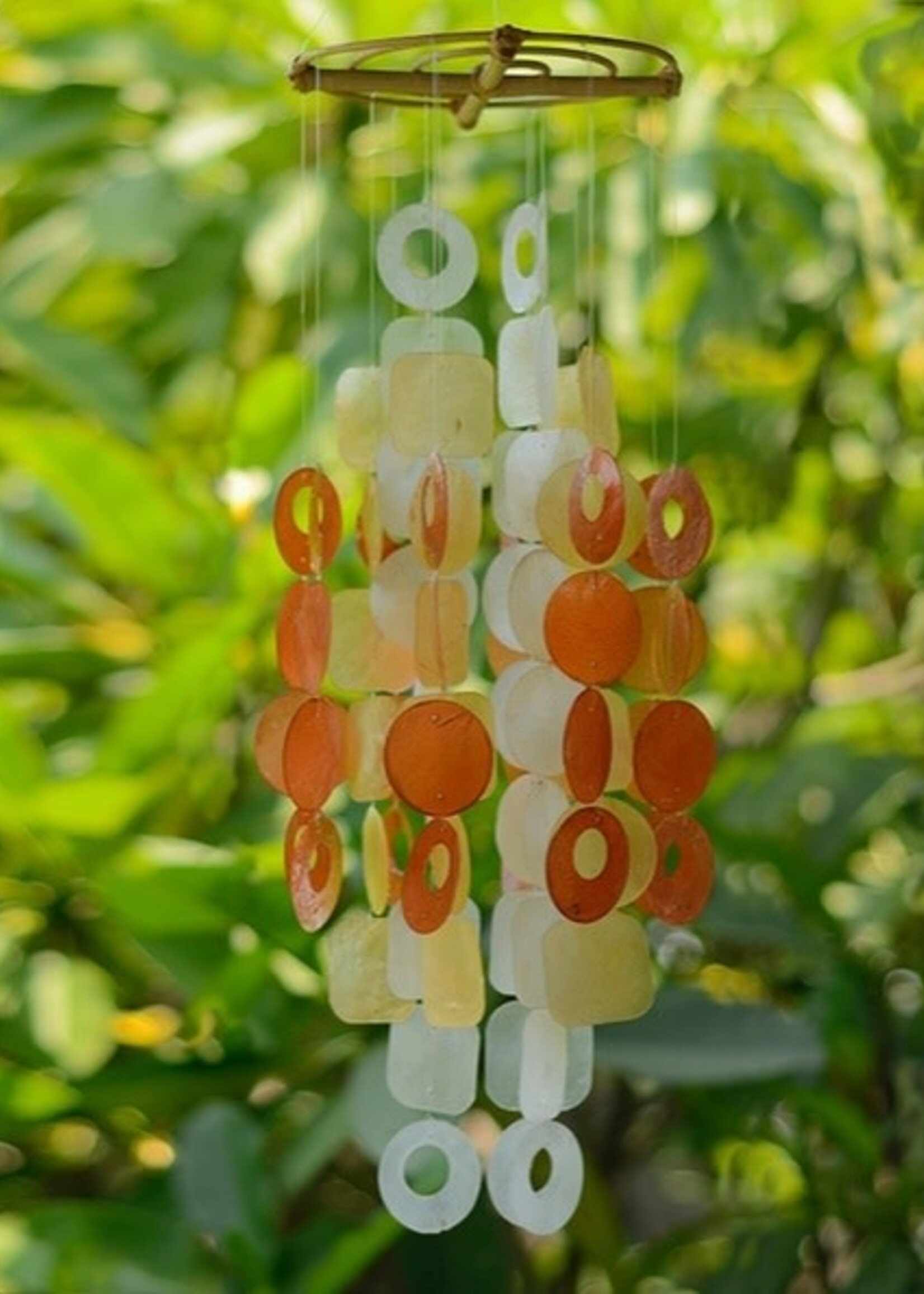 Capiz Shell Md. Chime - Spice