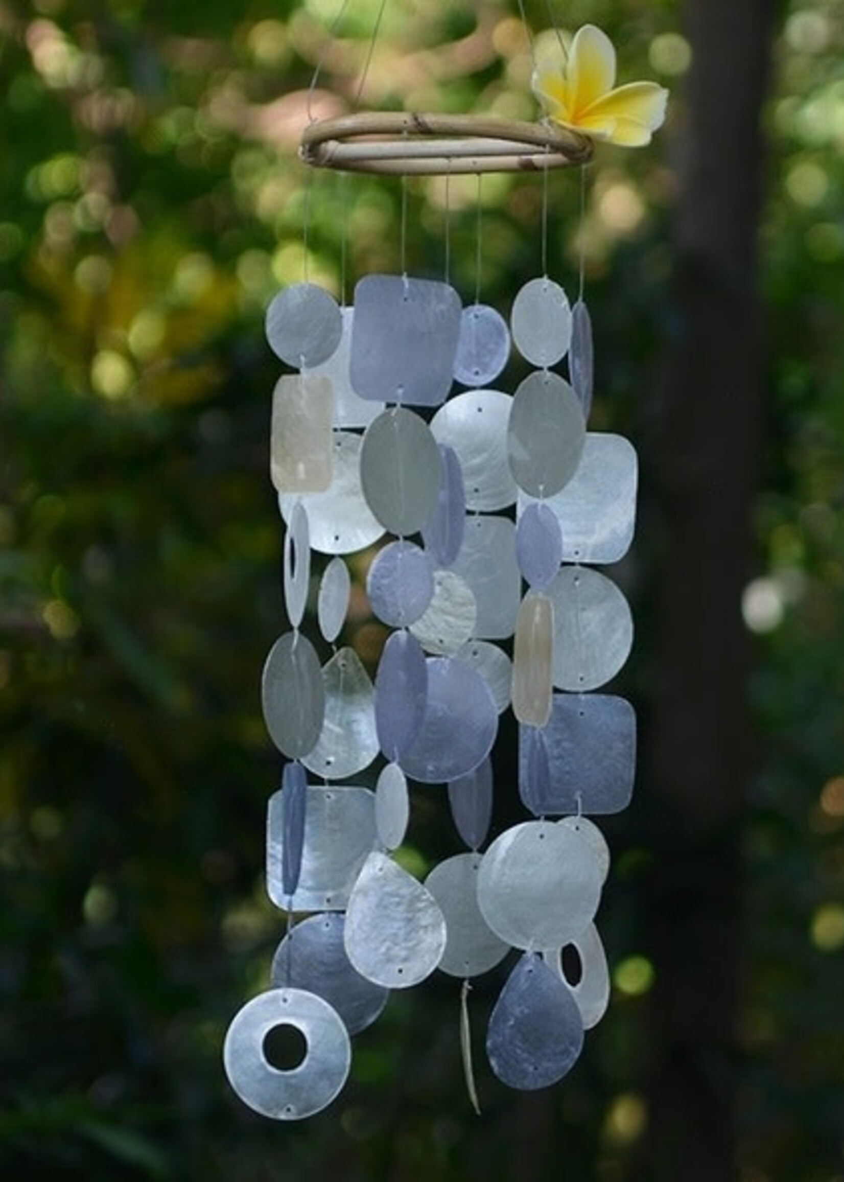 Capiz Shell Sm. Chime Silver Lining