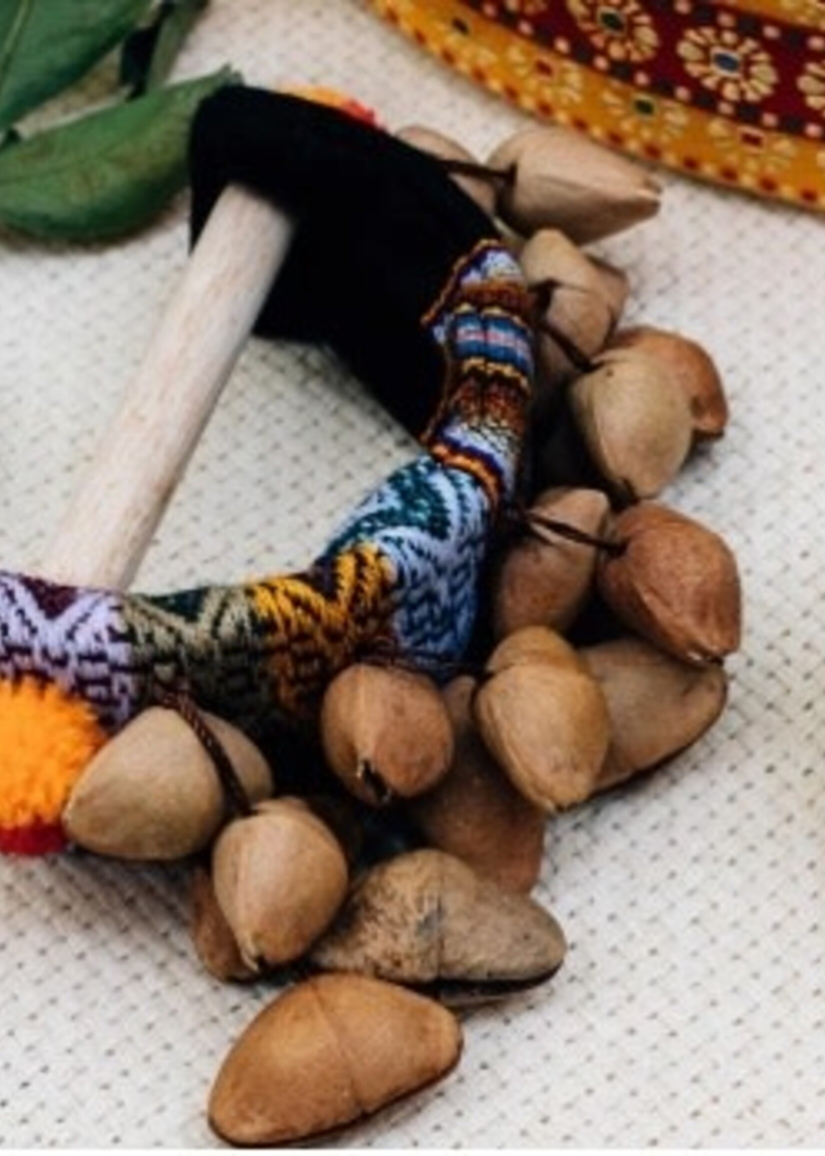 Rattle seed pods