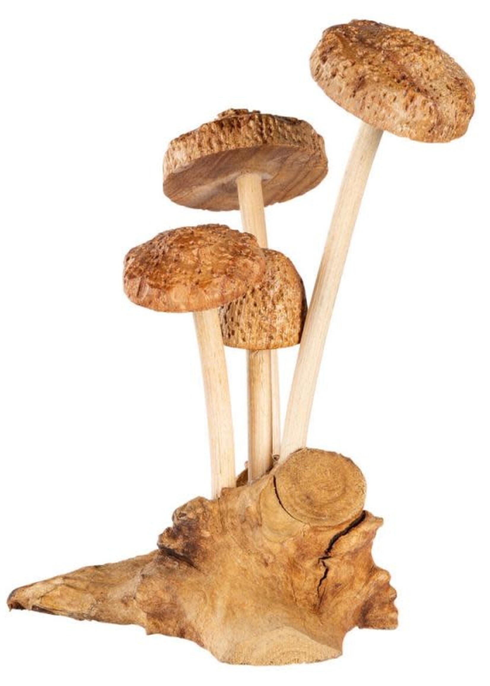 Four mushroom w/base
