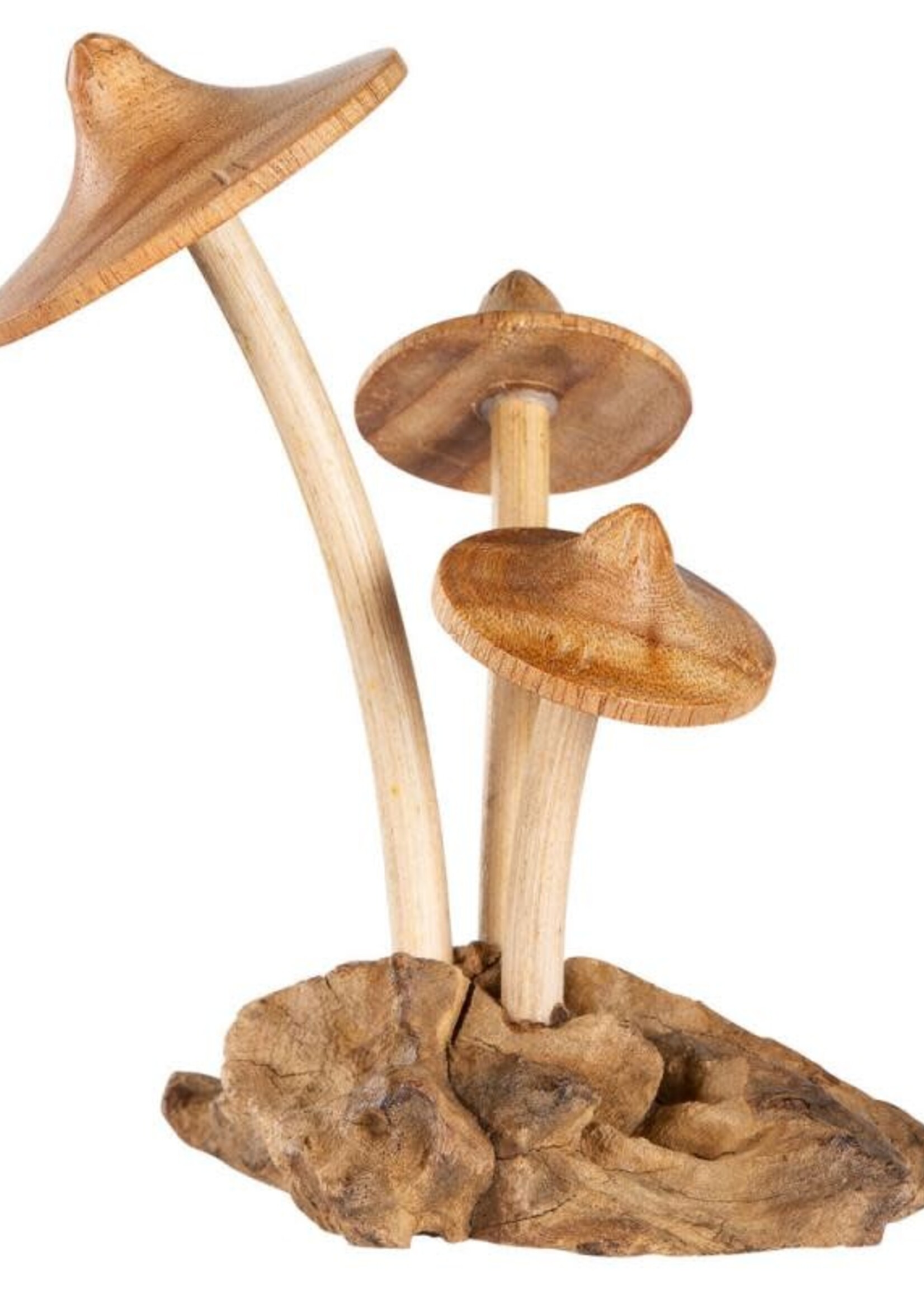 Triple mushroom