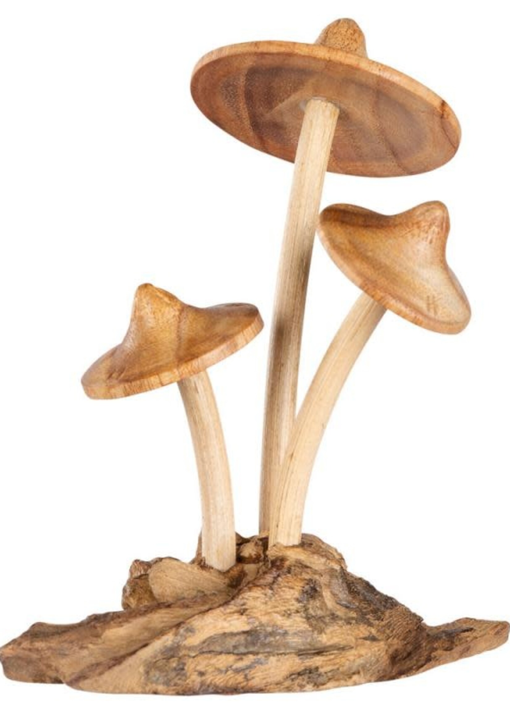 Triple mushroom
