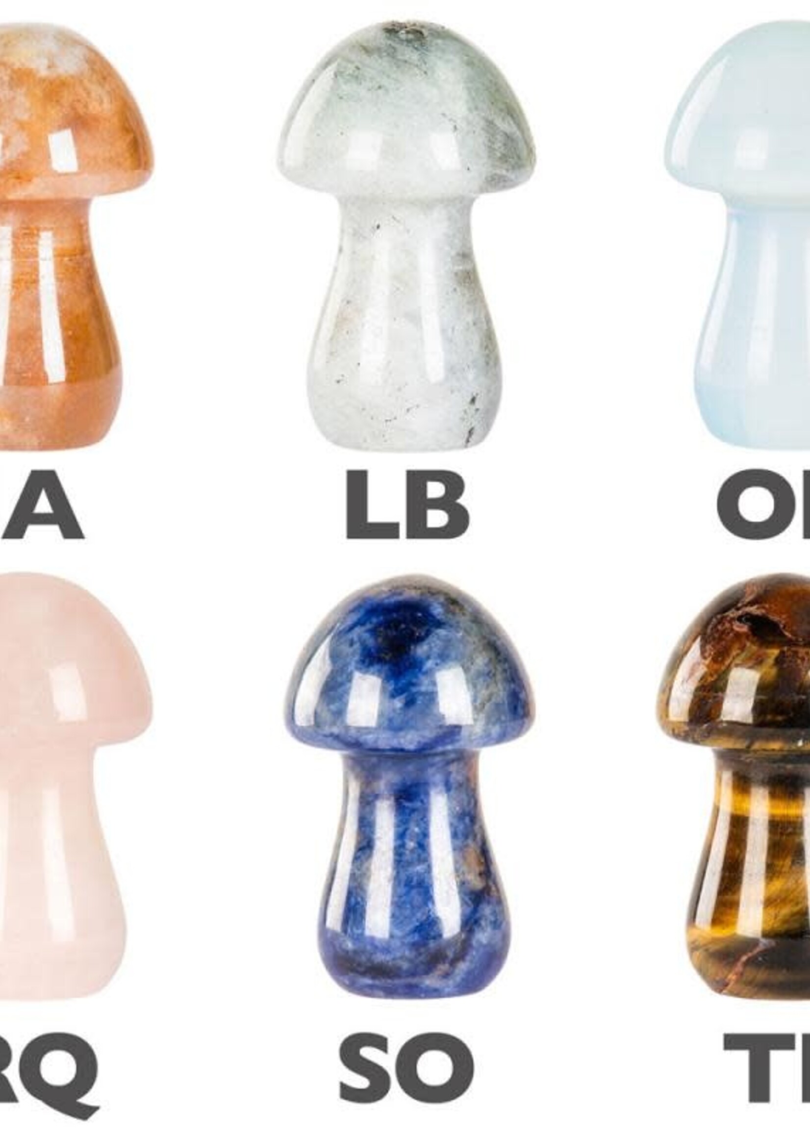 Crystal mushroom