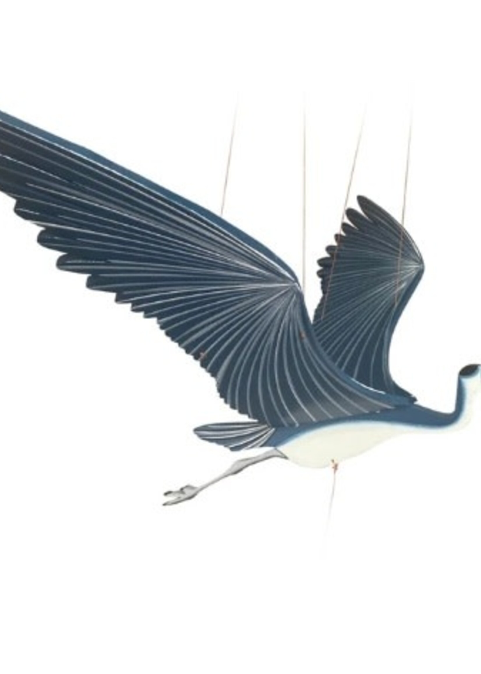 Blue Heron Mobile