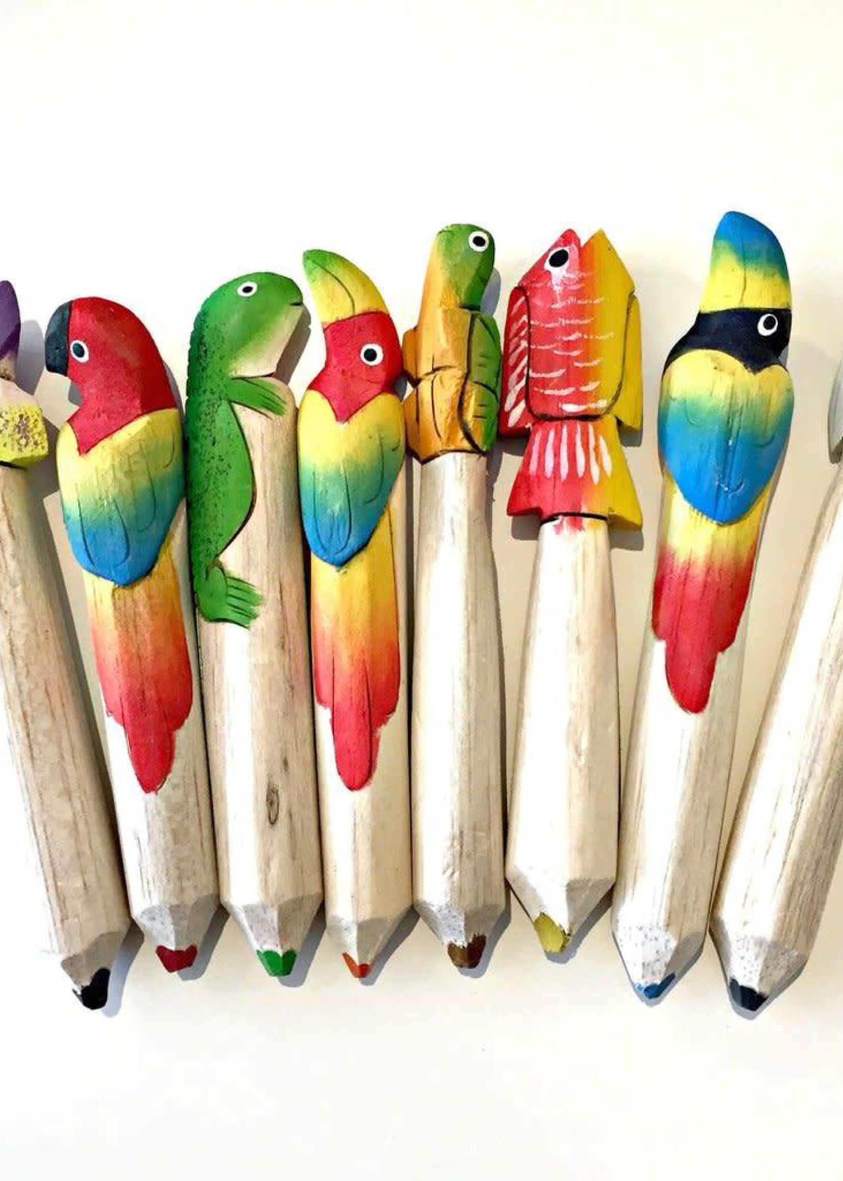 Animal Balsa Crayon Bundle