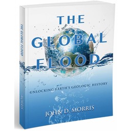 The Global Flood