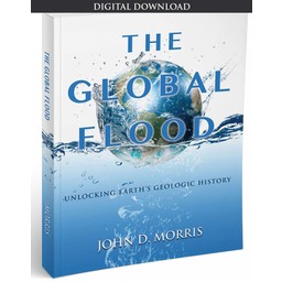 The Global Flood - eBook
