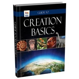 Guide to Creation Basics