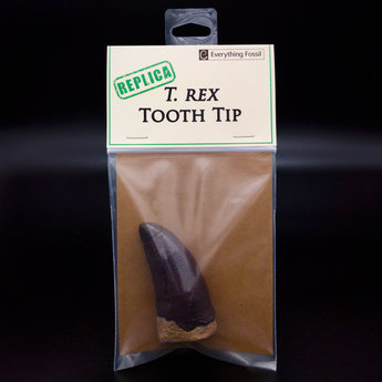 T Rex Tooth Tip