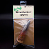 Spinosaurus Tooth