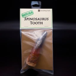 Spinosaurus Tooth