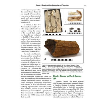 Dr. Brian Thomas Ancient and Fossil Bone Collagen Remnants