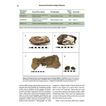 Dr. Brian Thomas Ancient and Fossil Bone Collagen Remnants