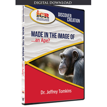 Dr. Jeff Tomkins Made in the Image of an Ape? - Download