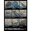 Fossil Wall Poster