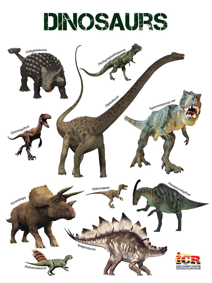 Popular Dinosaurs Poster