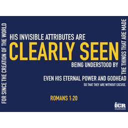 Romans 1:20 Poster