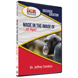 Dr. Jeff Tomkins Discover Creation: Made in the Image of an Ape?