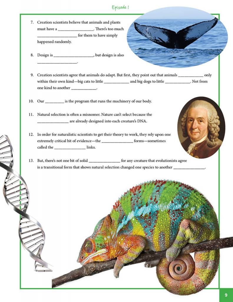 Unlocking the Mysteries of Genesis Student Guide, by Institute for