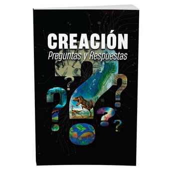 Creación Preguntas Y Respuestas (Spanish)